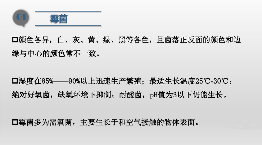 食品潔（jié）淨車間,環境黴菌來源,黴菌控製措（cuò）施，滁州無（wú）塵淨化車間